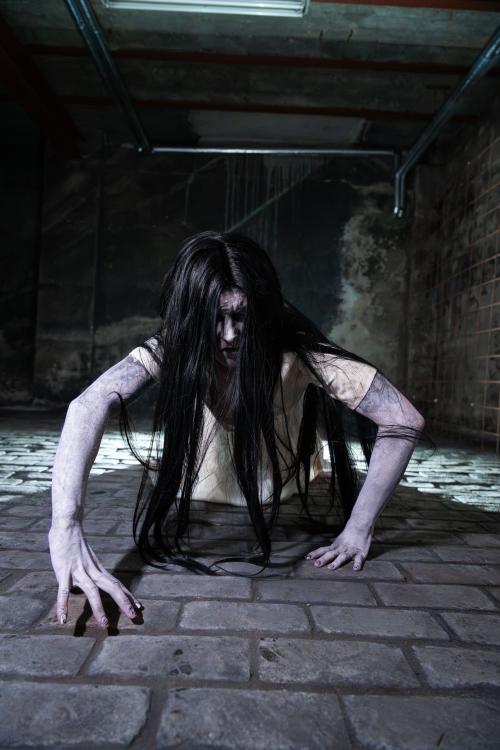 Auteur fotograaf Stam - 