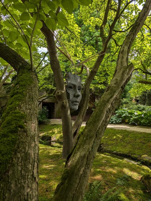 Auteur fotograaf Tim - Reuzen gezichtssculptuur Kasteelpark