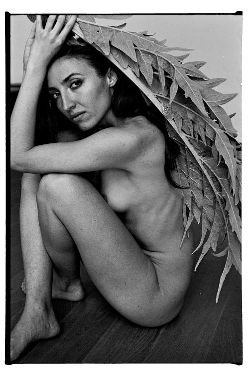 Auteur fotograaf Lieven  - 