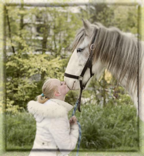 Auteur fotograaf Roy Steven - 