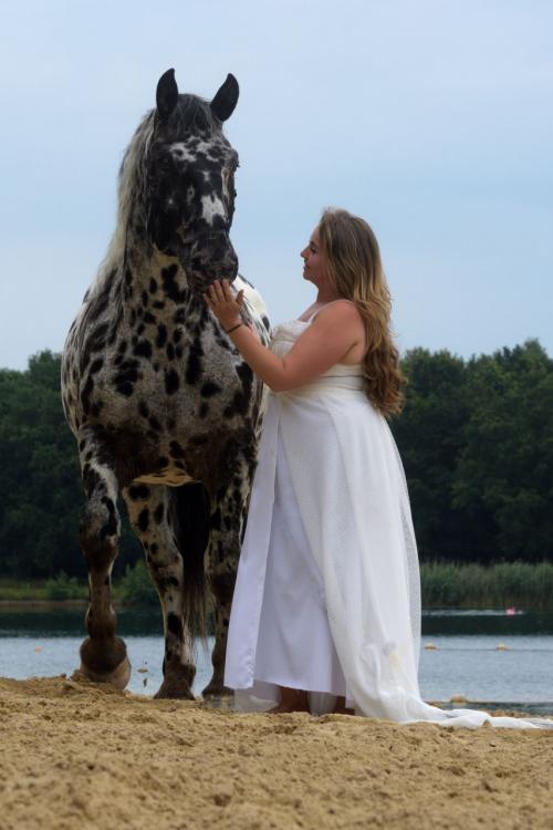 Auteur fotograaf Gerard De Zwaan - 