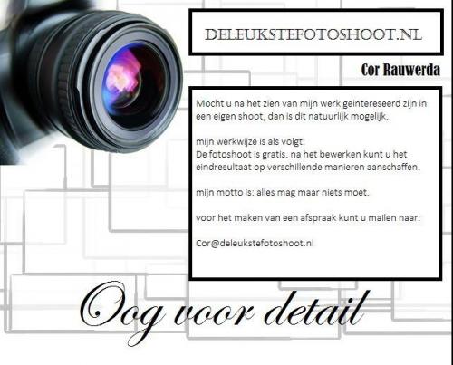 Auteur fotograaf Cor Rauwerda - 