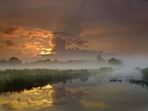 Auteur fotograaf Nico Van Gelder - 