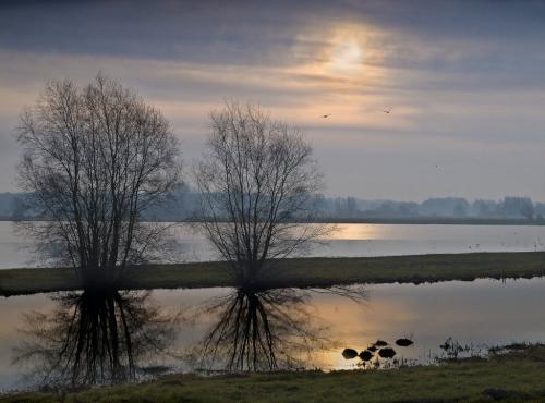 Auteur fotograaf Nico Van Gelder - 