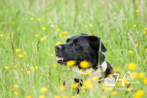 Auteur fotograaf Hinse - Diablo rond de ENCI Groeve 20-05-2021