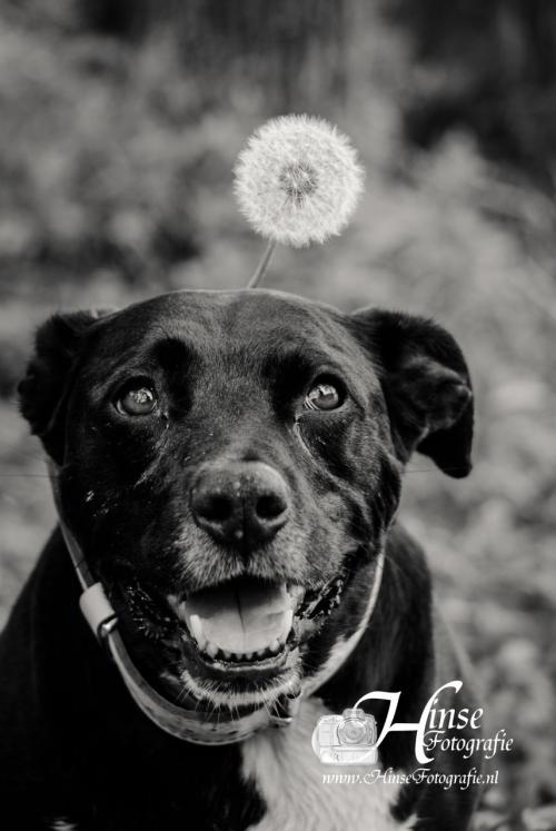 Auteur fotograaf Hinse - Diablo rond de ENCI Groeve 20-05-2021