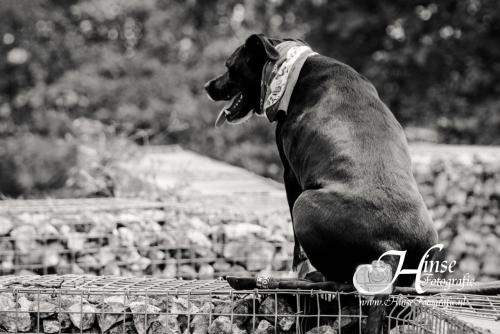 Auteur fotograaf Hinse - Diablo rond de ENCI Groeve 20-05-2021