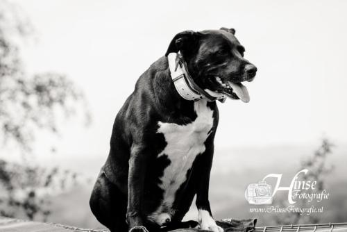 Auteur fotograaf Hinse - Diablo rond de ENCI Groeve 20-05-2021