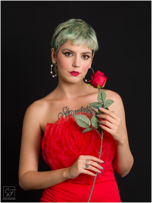 Auteur fotograaf Stefan Fotografeert - 