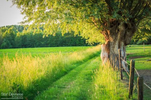 Auteur fotograaf Staf Devriese - 