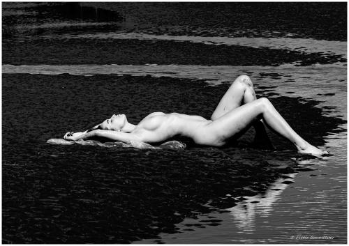 Auteur model MonicaVDM - 