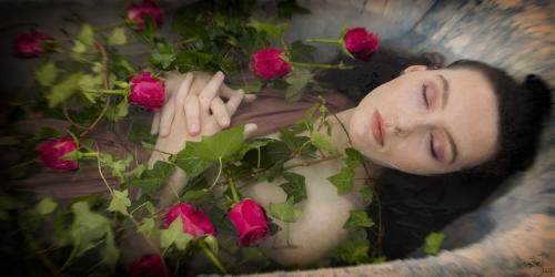 Auteur model Dana - 