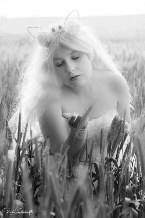 Auteur fotograaf Rudi - 